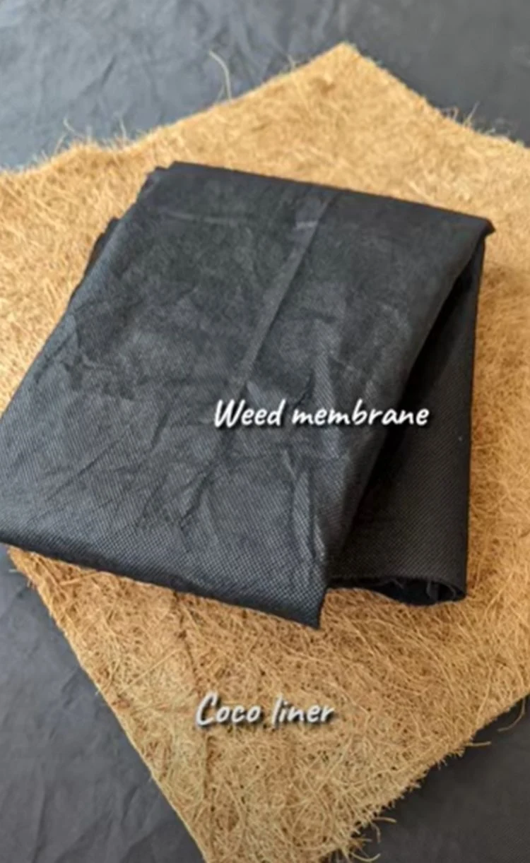 schritt für schritt anleitung für diy palettengarten 2