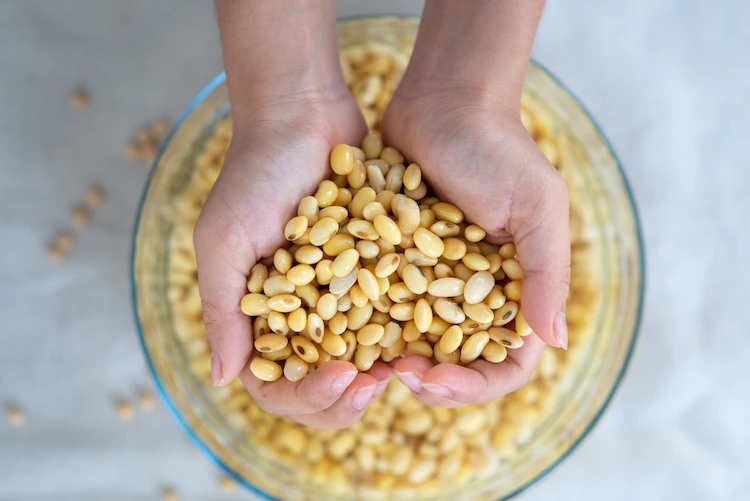 Soja Bohnenwasser als natürliches Hormon Mittel