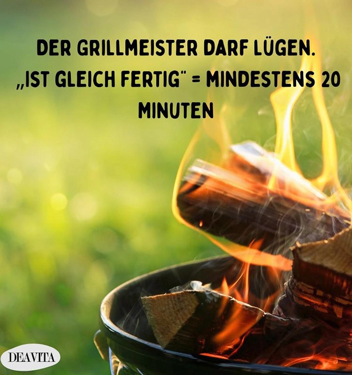 sprüche grillen lustig mit bilern 2