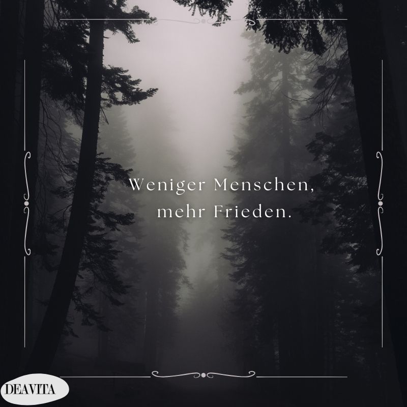 sprüche zum nachdenken weniger menschen mehr frieden