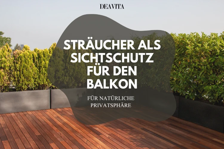 sträucher als sichtschutz für den balkon