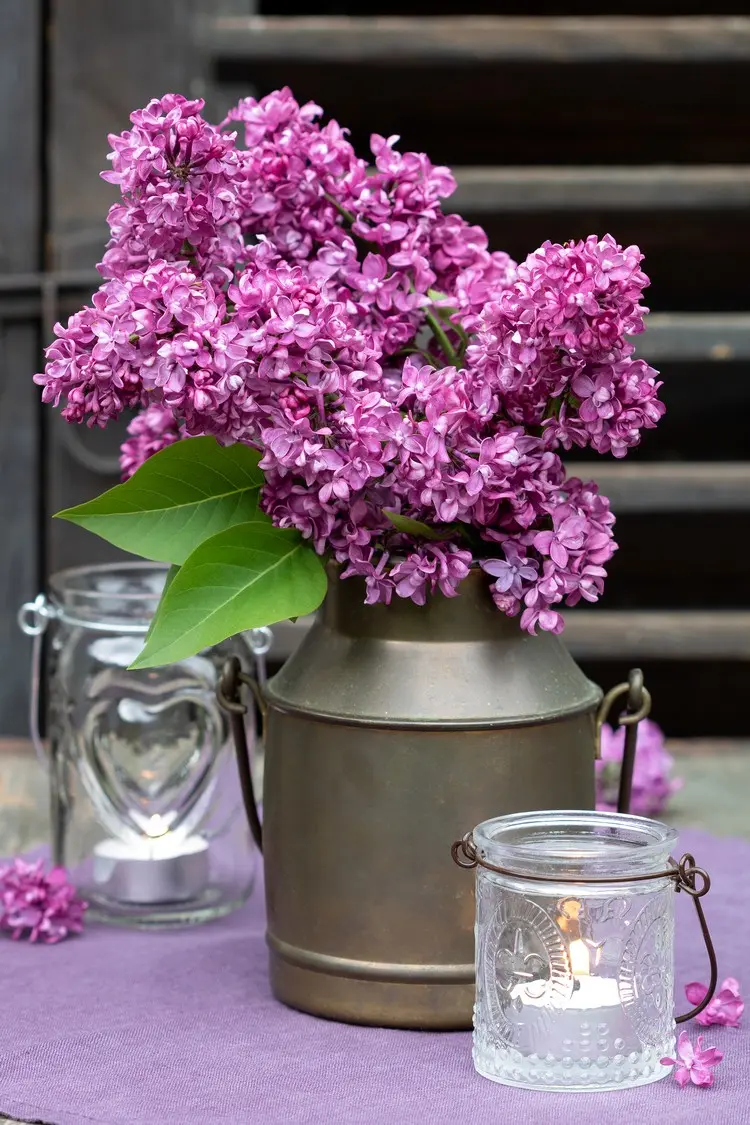 Tischdeko für den Garten mit Flieder in einer alten Milchkanne aus Metall und mit Windlicht