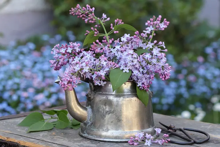 Vintage-Metallkanne als Vasen-Ersatz für die Terrassendeko