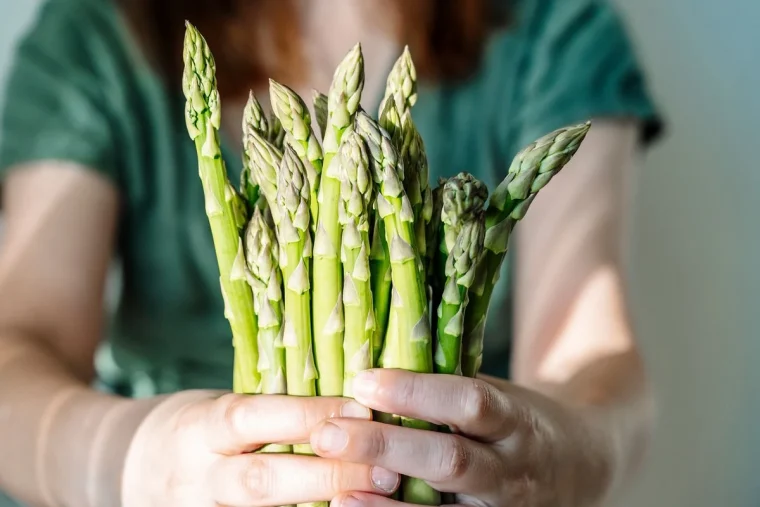 wann ist spargel schlecht wie lange der spargel frisch ist und wie sie ihn aufbewahren sollten!
