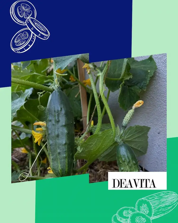 Wetter bei der Wahl des Standortes berücksichtigen