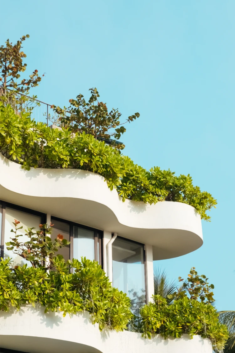 zwei große balkone mit vielen sträuchern als sichtschutz