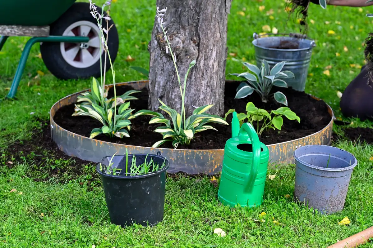 cortenstahl baumring