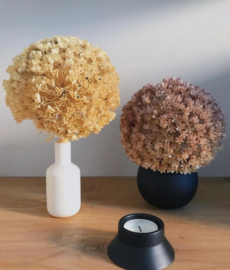 deko mit getrocknetem allium schöne ideen mit zierlauch