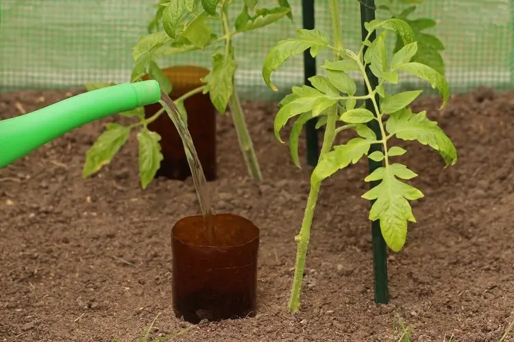 Den Boden kann man abschneiden, um die Flasche einfacher aufzufüllen