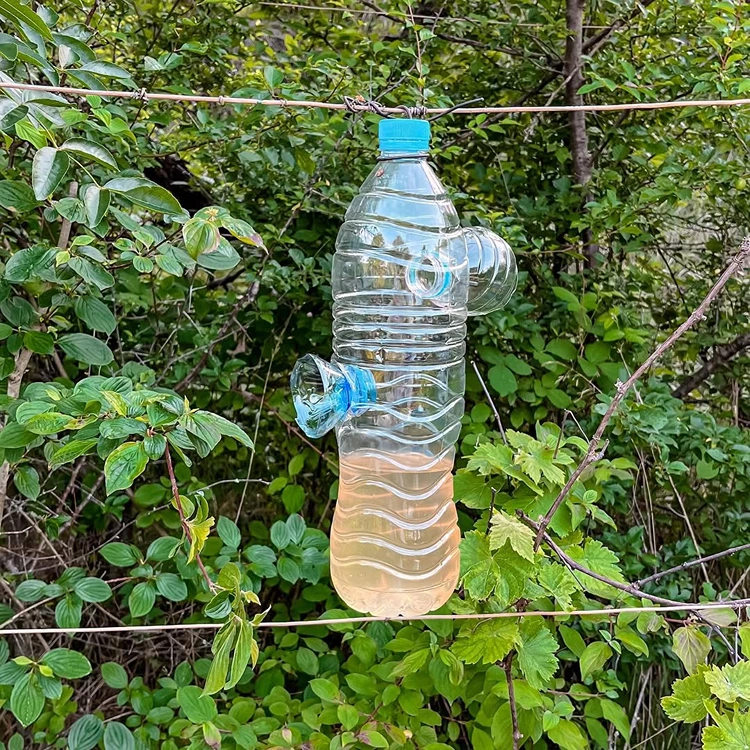 Die Falle für die Asiatische Hornisse kann individuell angepasst werden