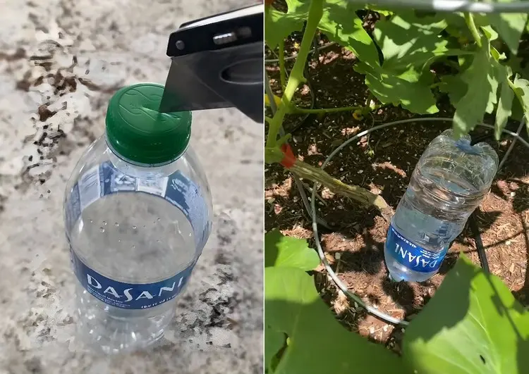 Ein Loch in den Deckel der Plastikflasche stechen und kopfüber in die Erde stecken