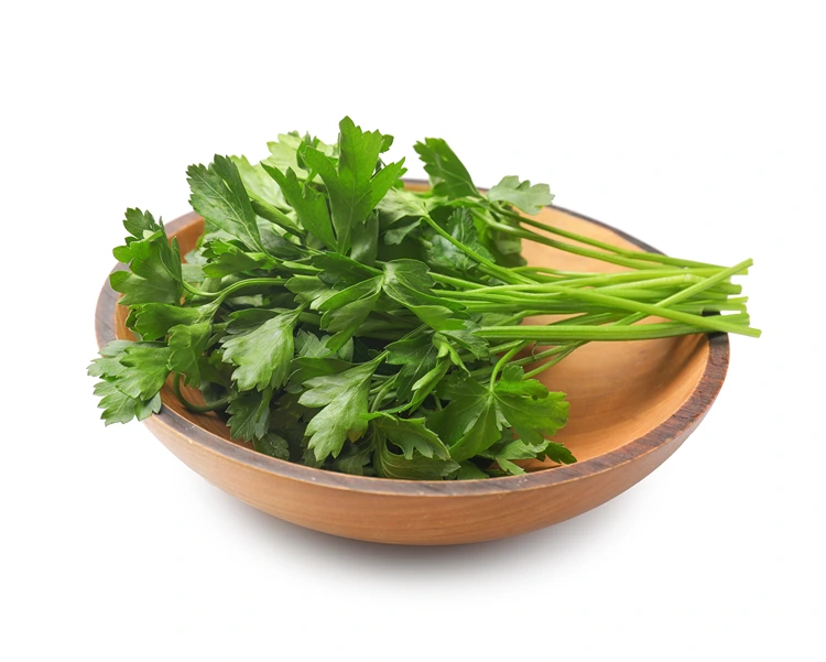 ein paar zweige frische petersilie gegen zwiebel mundgeruch