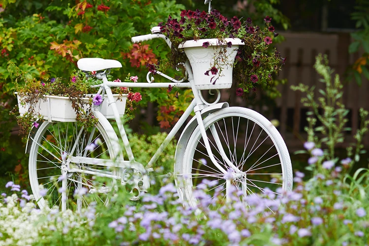 fahrrad in weiß gestrichen im garten mit blumen