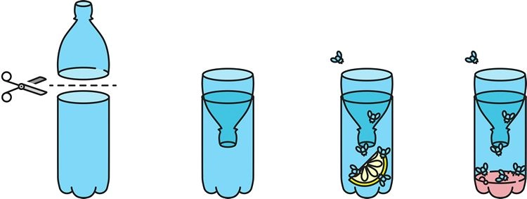 fliegenfalle für terrasse