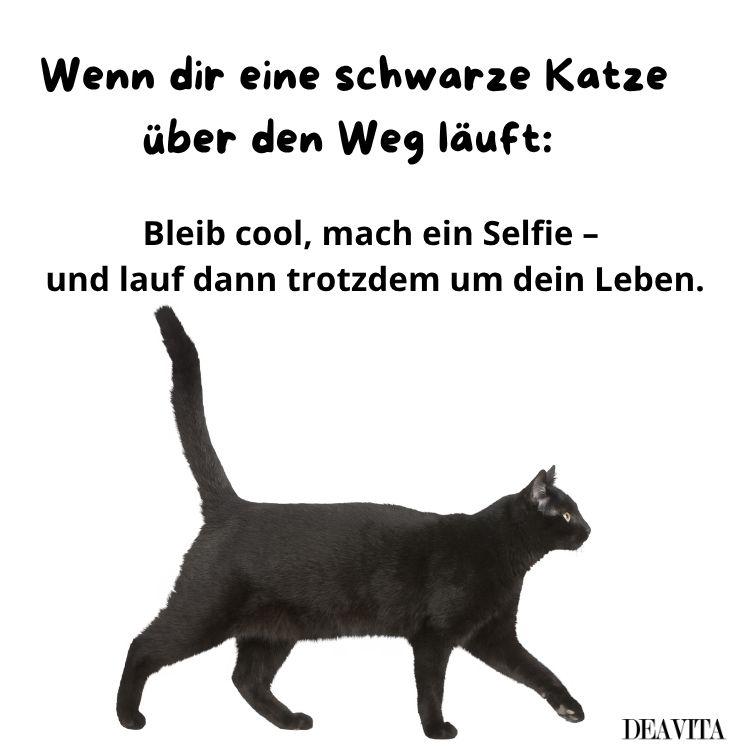 freitag 13 bleib cool sprüche