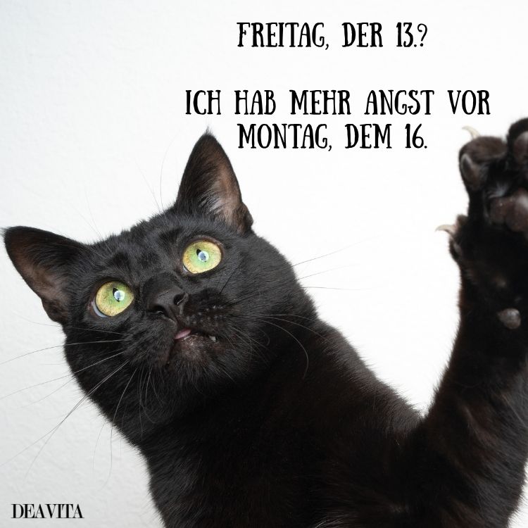 freitag 13 lustig mehr angst vor montag dem 16