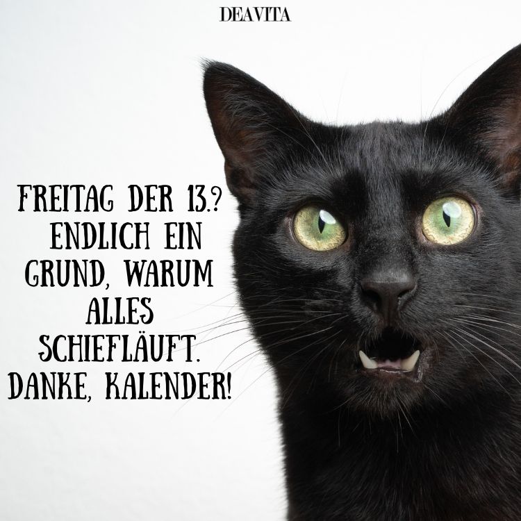 freitag 13 lustige sprüche und zitate danke kalender
