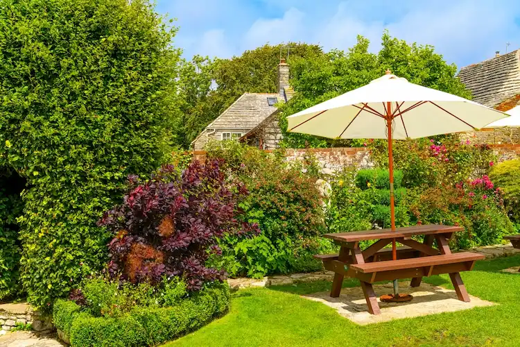 Garten gestalten mit grünen Wänden aus Hecken 