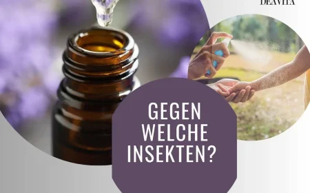 gegen welche Insekten hilft das Dufftöl des Lavendels - Studien Mücken