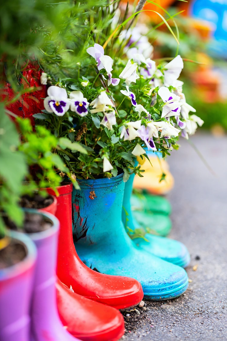 gummistiefel voll mit blumen als deko im garten