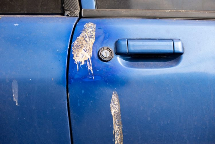 hack für auto taubenkot vom autolack entfernen