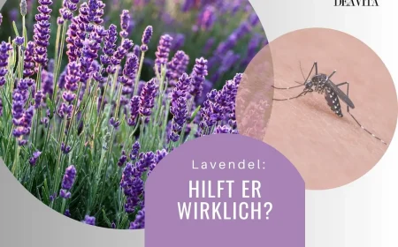 Lavendel gegen Mücken verwenden
