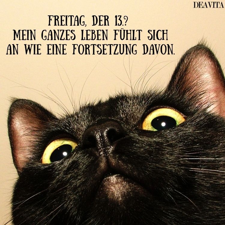 lustige bilder freitag 13 schwarze katze
