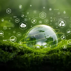 nachhaltige unternehmensführung und csrd 2025