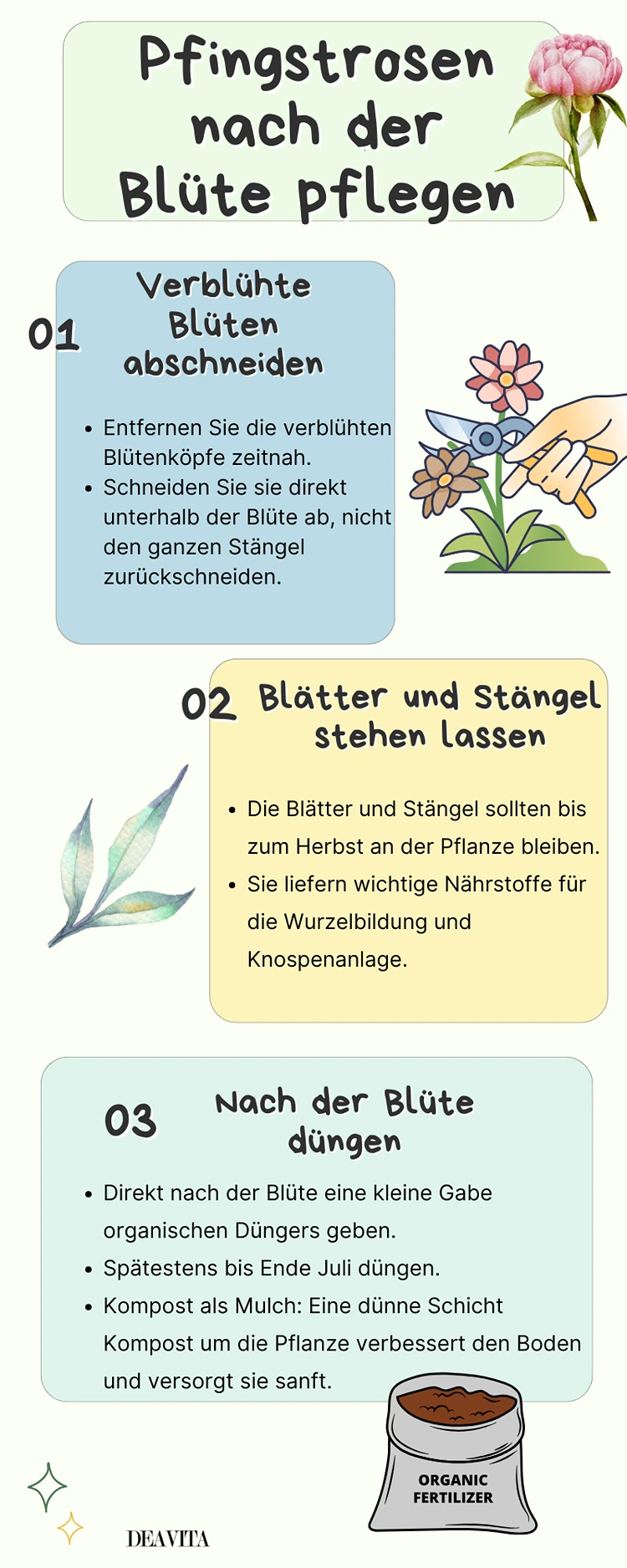 pfingstrosen nach der blüte pflegen tipps