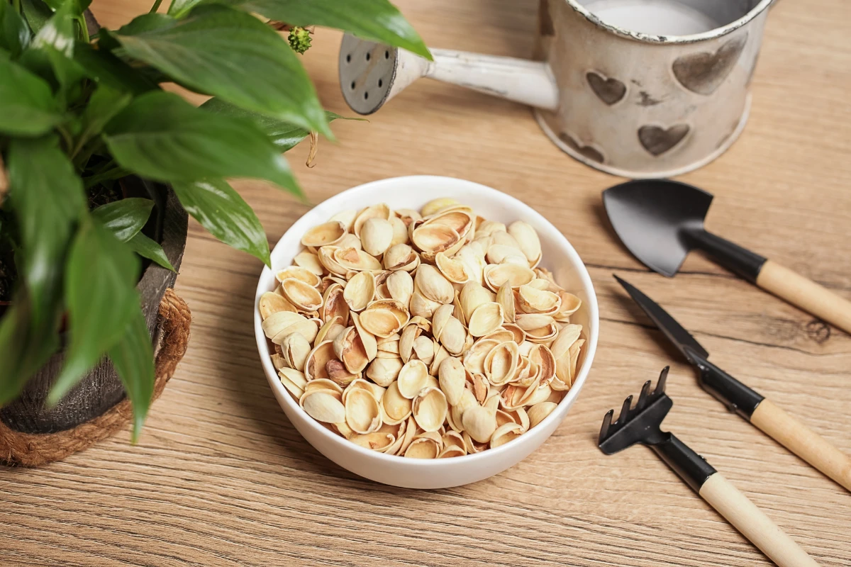 pistazienschalen im garten verwenden