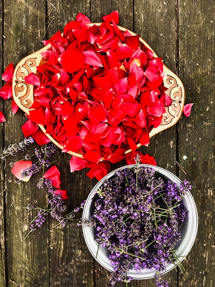 rote rosenblütenblätter lavendelblätter in vintage schalen als tischdeko