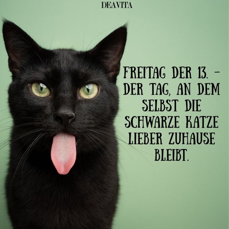 schwarze katze lustiges bild mit spruch