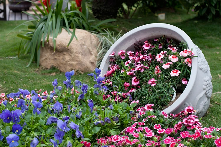 umgekippter topf mit stiefmütterchen und nelken