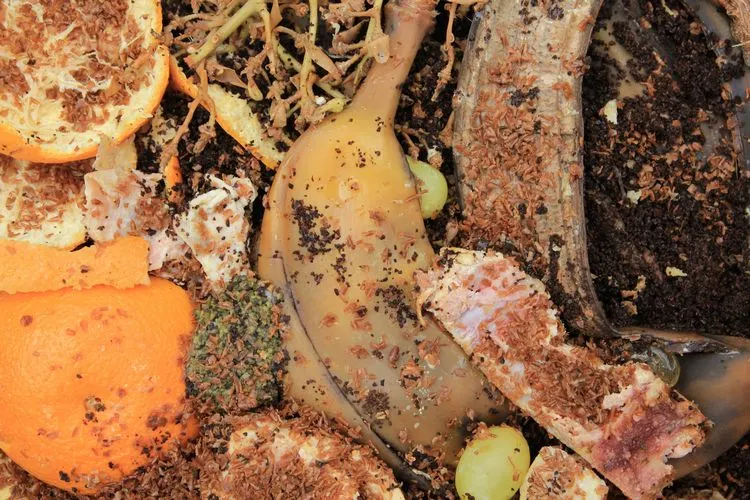 was sind die vorteile vom japanischen komposter