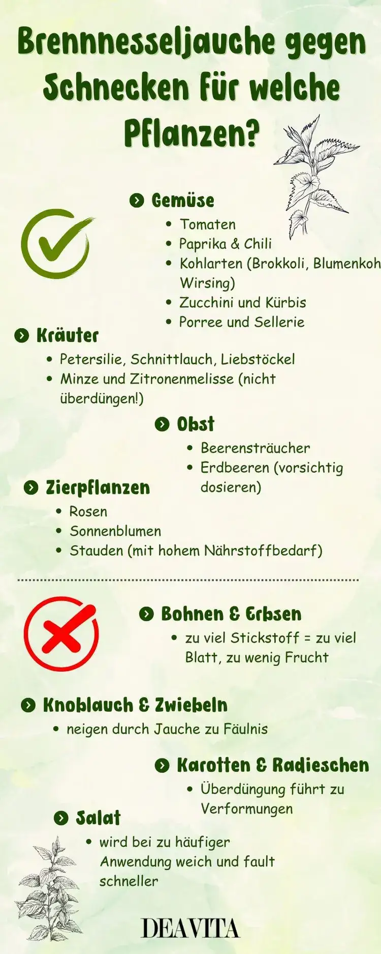 Welche Pflanzen können mit hoch dosiertem Brennnesselsud behandelt werden