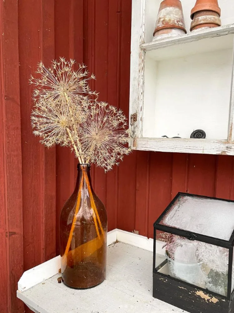 wie sie zierlauch trocknen können und deko selber machen