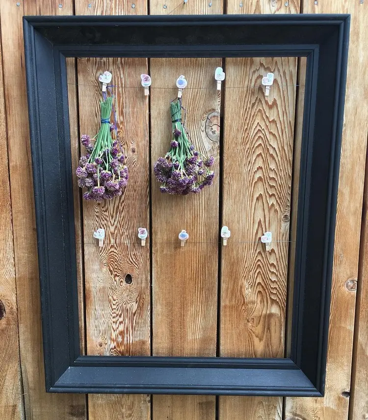 Alte Bilderrahmen upcyclen zum Trocknen von Blumen und Kräutern