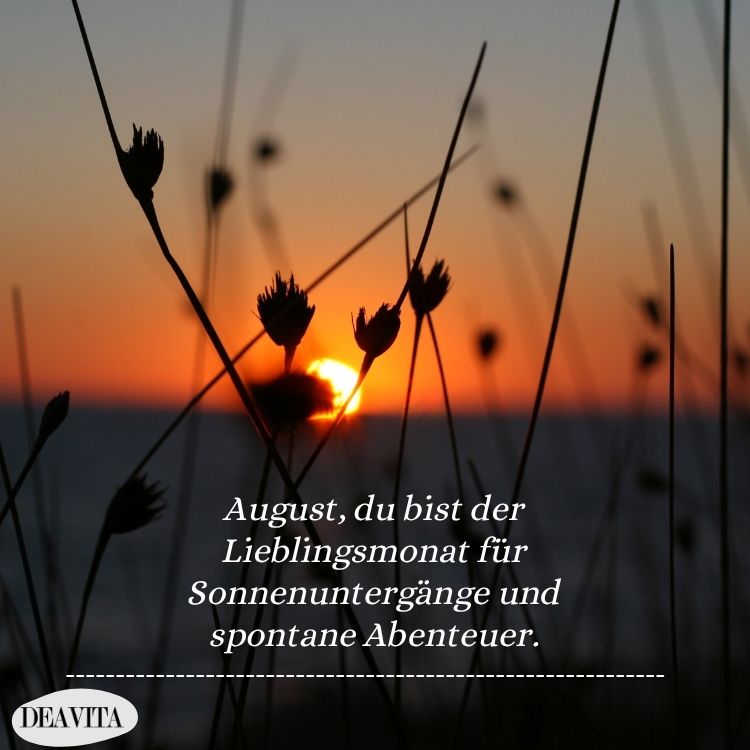 bilder hallo august mit sprüchen