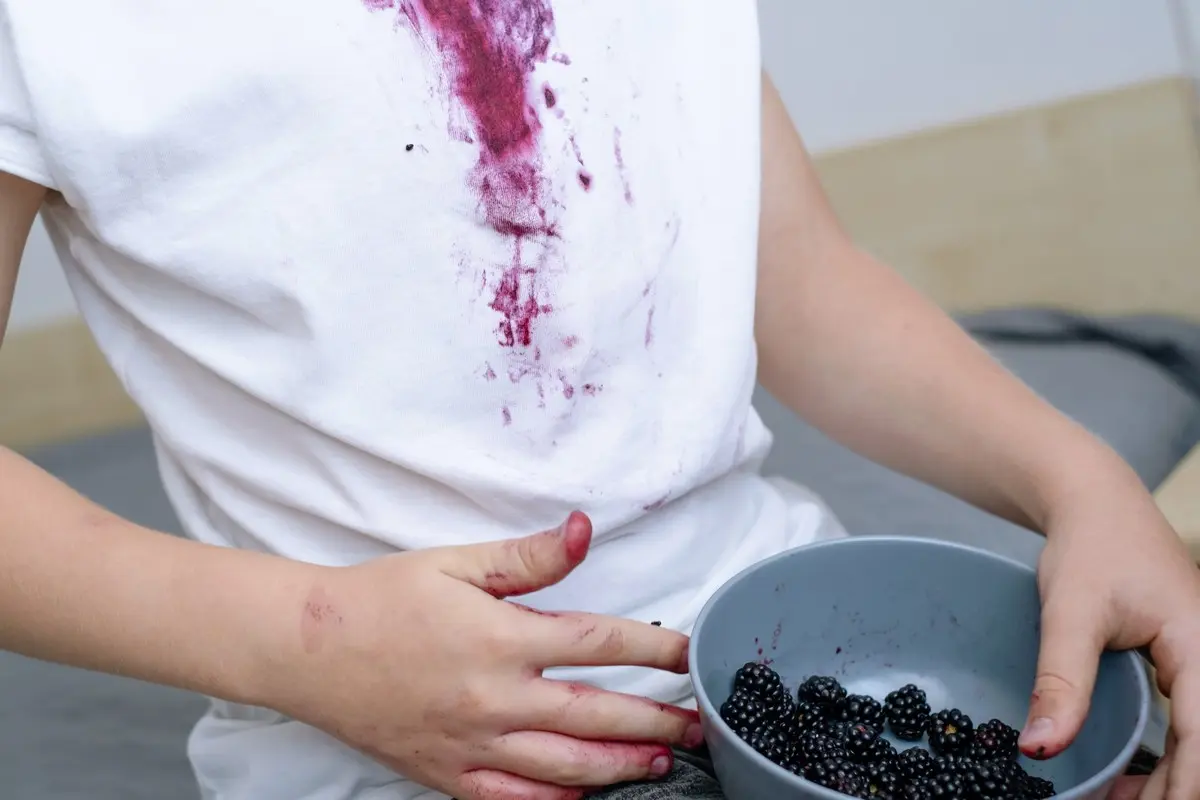 Brombeerflecken aus Kleidung entfernen - Vermeiden Sie diese 5 Fehler
