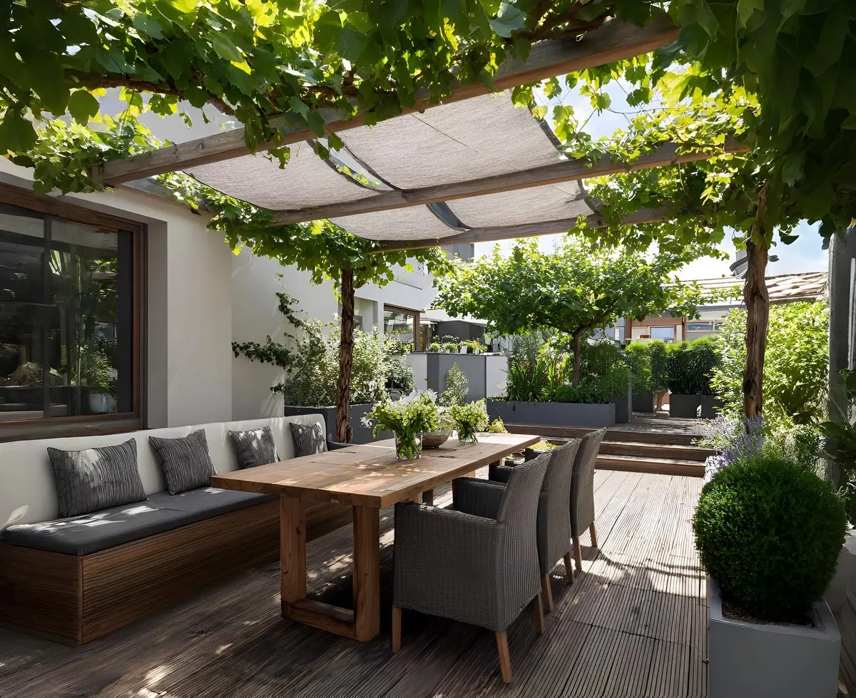 Dachplatane für die Terrasse zur natürlichen Beschattung - Tipps für Abstand und Pflege