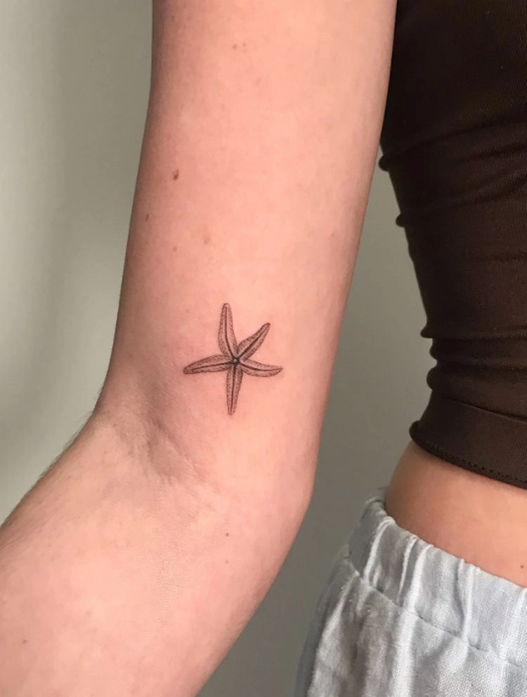 der seestern ist aus mehreren gründen ein zeichen der hoffnung