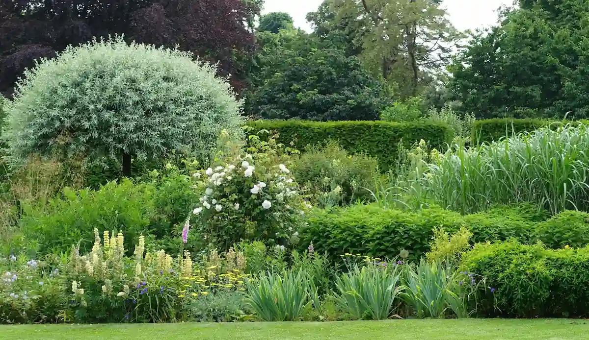 Garten gegen Lärm und Schadstoffe schützen