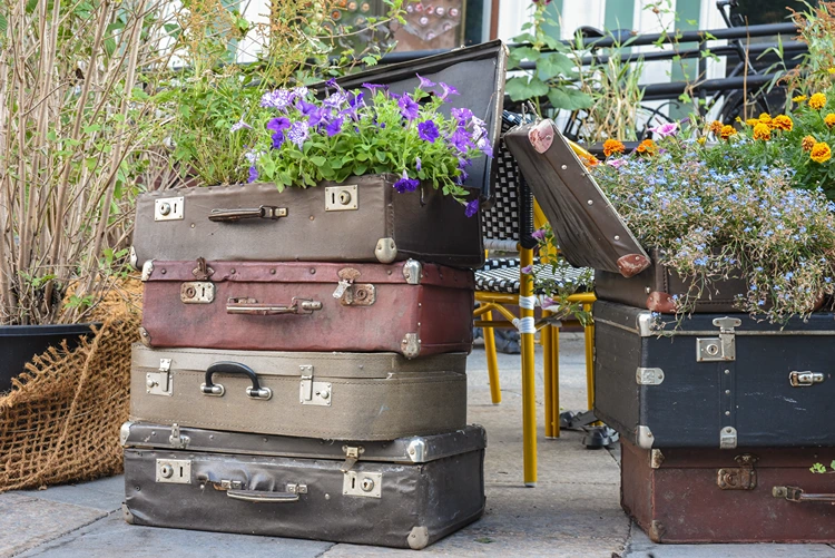 gartendeko aus alten koffern lila petunien