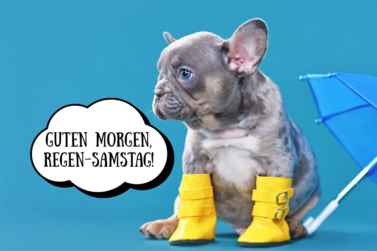 guten morgen regen samstag sommer