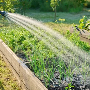 hochbeet bewässern so sparen sie wasser mit cleveren gartenlösungen