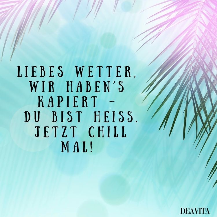 lustige bilder heißes wetter jetzt chill mal