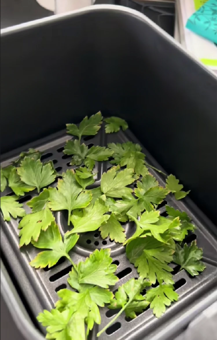 petersilie im airfryer trocknen