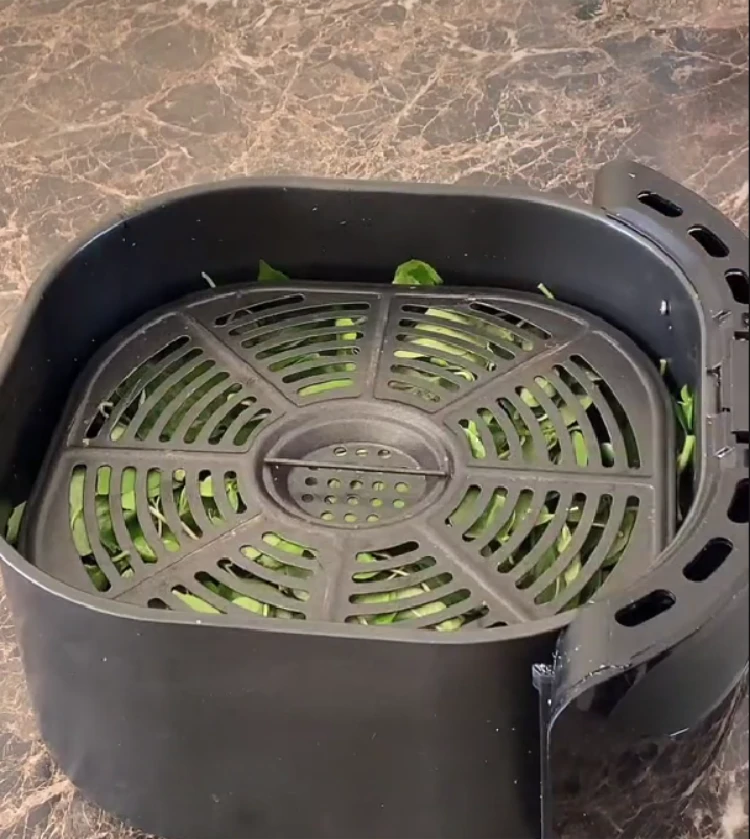 pressen von getrockneten kräutern in der heißluftfritteuse