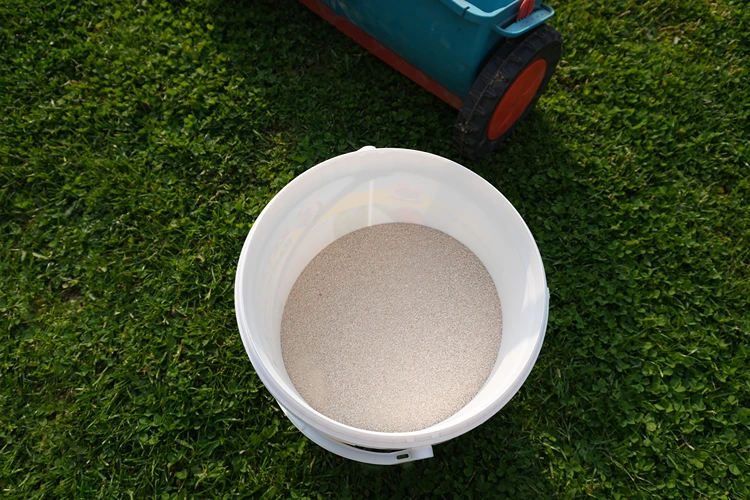 rasen kalken im sommer