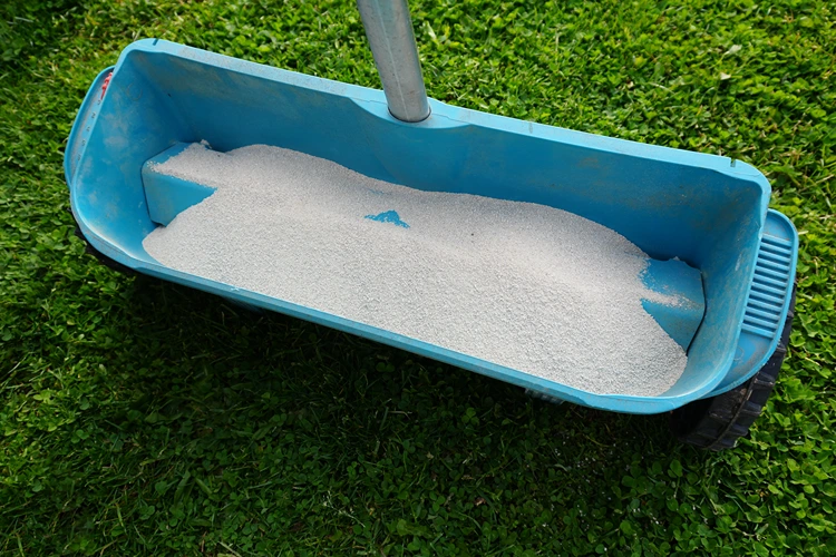 rasen kalken maßnahme für bodengesundheit